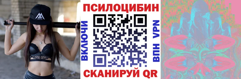 Псилоцибиновые грибы мицелий  Темников 