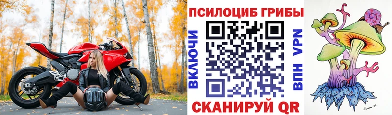 Псилоцибиновые грибы Magic Shrooms Темников